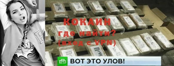 ГАЛЛЮЦИНОГЕННЫЕ ГРИБЫ Рославль