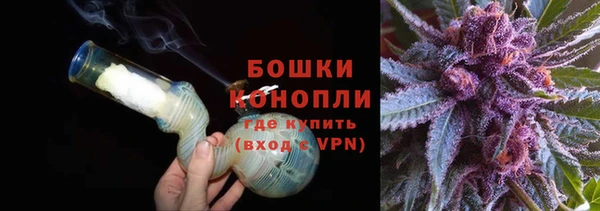 ГАЛЛЮЦИНОГЕННЫЕ ГРИБЫ Рославль
