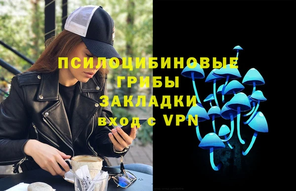 PSILOCYBIN Россошь