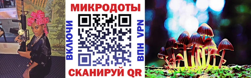 купить  цена  Ладушкин  Галлюциногенные грибы GOLDEN TEACHER 